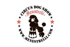 Photo of Dog Show Menestrelli Photo of Dog Show Menestrelli