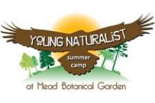 Photo of Mead Botanical Gardens Photo of Mead Botanical Gardens