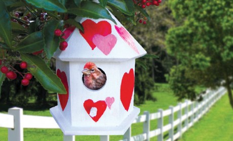 birdhouse_feature