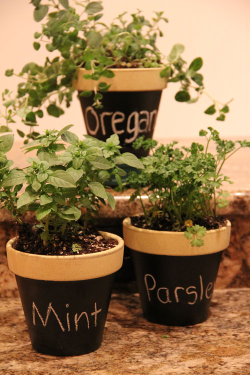 Chalkboard Herbal Pots Orlando Family Magazine