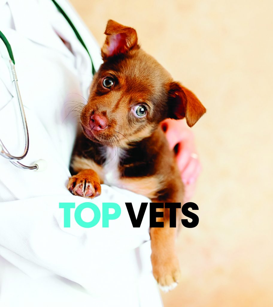 Top Vets Orlando Family Magazine